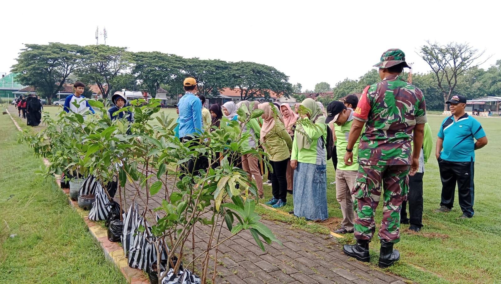 KEGIATAN MENANAM POHON 2024